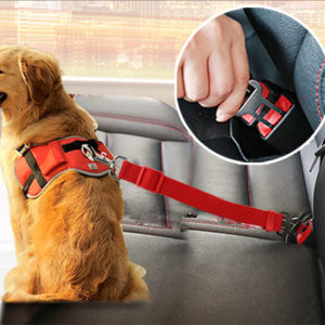 Adjustable Seat Belt